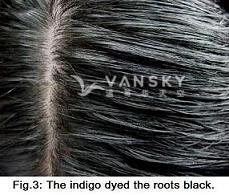 230824162906_Hair-Dyed with indigo-s.jpg